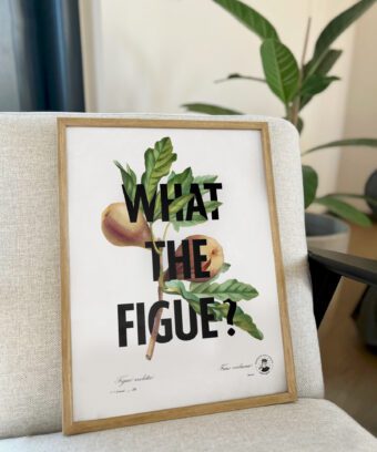 What the figue poster botanique What the figue poster botanique