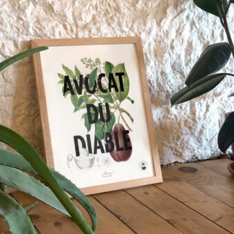 affiche botanique Avocat du diable