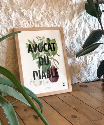 affiche botanique Avocat du diable