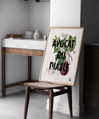 affiche botanique Avocat du diable affiche botanique Avocat du diable