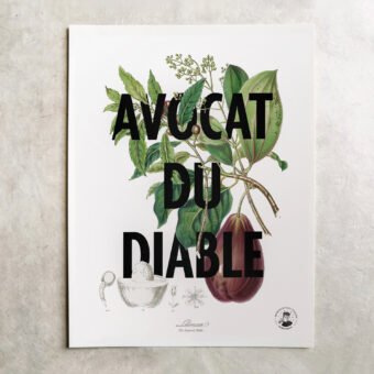 affiche botanique Avocat du diable