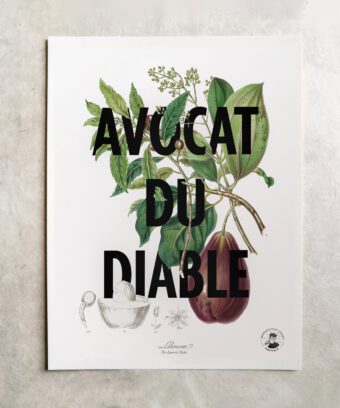 affiche botanique Avocat du diable affiche botanique Avocat du diable