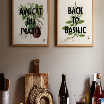 affiche botanique Avocat du diable
