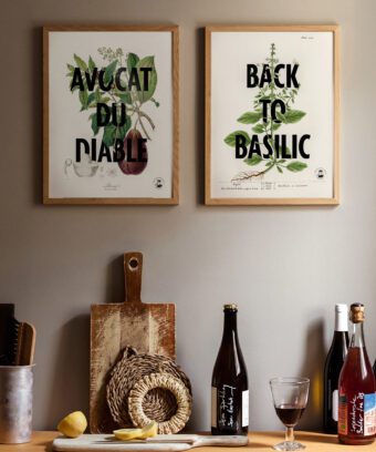 affiche botanique Avocat du diable affiche botanique Avocat du diable