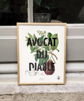 affiche botanique Avocat du diable affiche botanique Avocat du diable