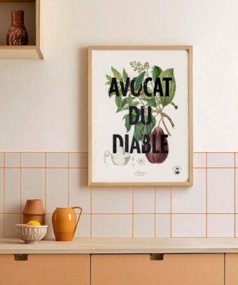 affiche botanique Avocat du diable affiche botanique Avocat du diable