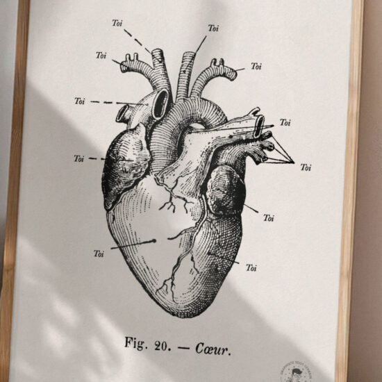 affiche Anatomie de mon cœur