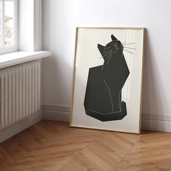 studio topo chat fier