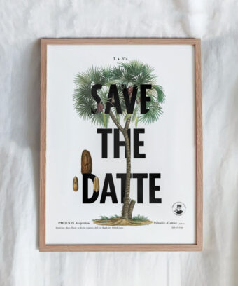 Save the datte affiche botanique topo
