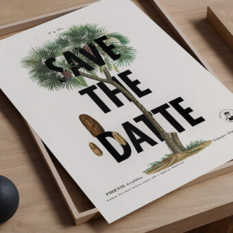 Save the datte affiche botanique topo