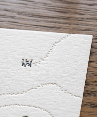 Carte noel embossage chiens Studio Topo