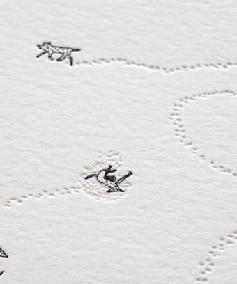 Carte noel embossage chiens Studio Topo