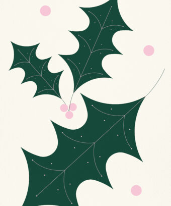 Noel flat